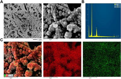 Bimetallic Cu-Bi catalysts for efficient electroreduction of CO2 to formate
